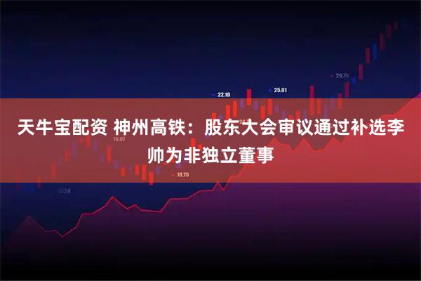天牛宝配资 神州高铁：股东大会审议通过补选李帅为非独立董事