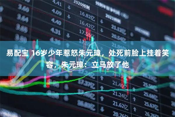 易配宝 16岁少年惹怒朱元璋，处死前脸上挂着笑容，朱元璋：立马放了他