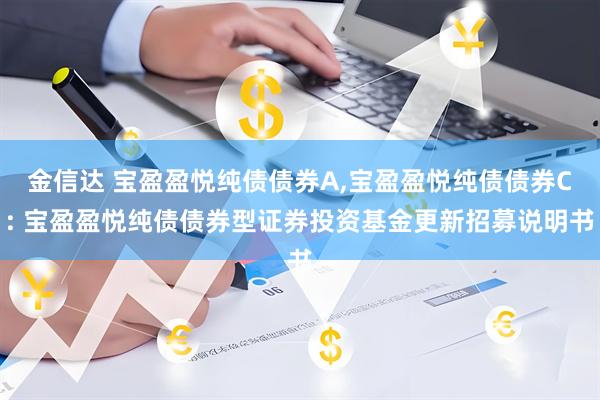 金信达 宝盈盈悦纯债债券A,宝盈盈悦纯债债券C: 宝盈盈悦纯债债券型证券投资基金更新招募说明书