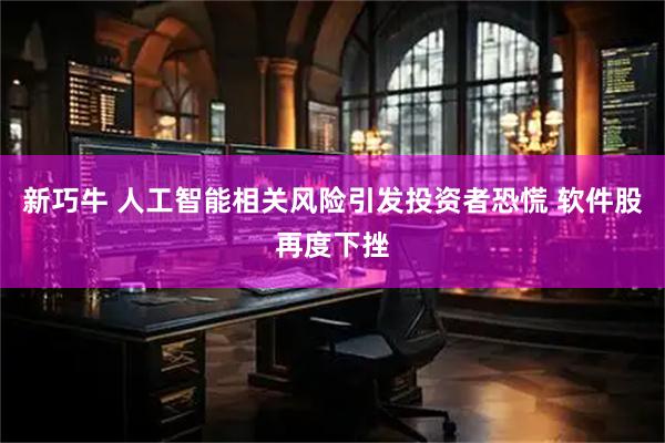 新巧牛 人工智能相关风险引发投资者恐慌 软件股再度下挫